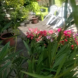 Hébergement de vacances La Maison D'odette, Saint-Georges-de-Mons